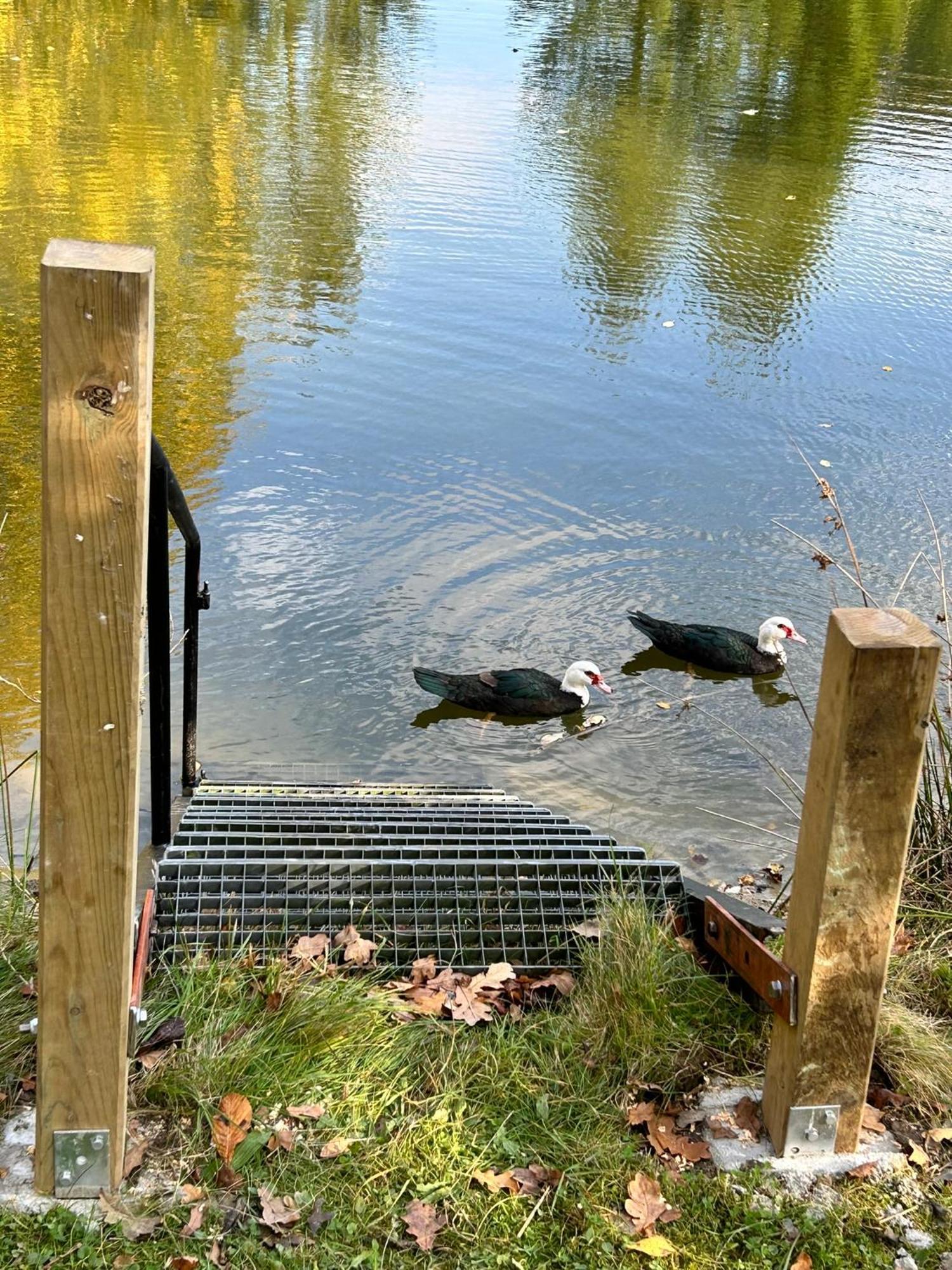 Farm Stay Happy Dogs Ranch Veberöd 外观 照片