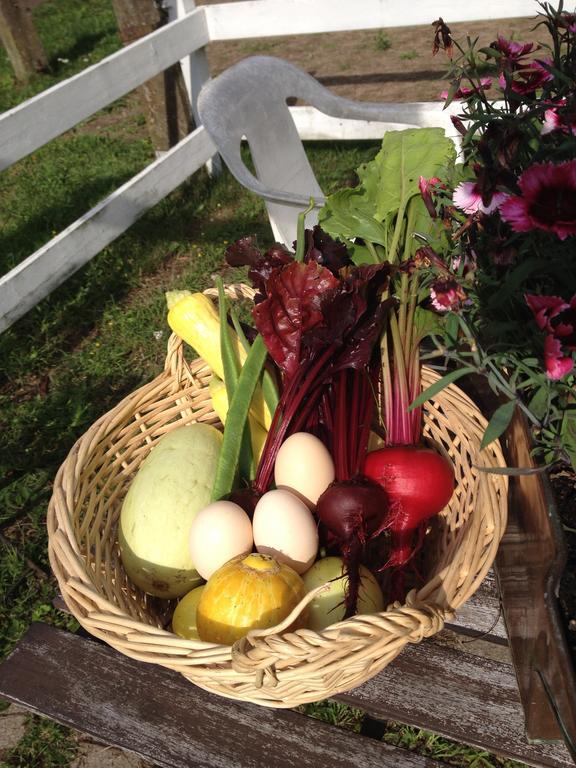 Farm Stay Happy Dogs Ranch Veberöd 外观 照片