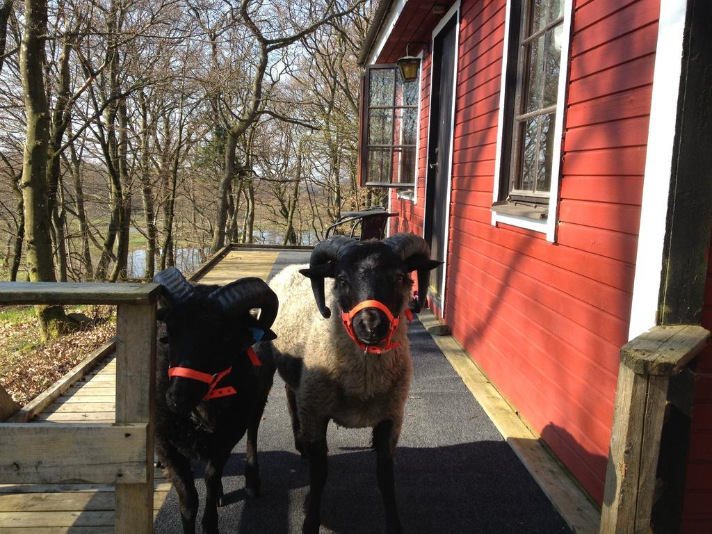 Farm Stay Happy Dogs Ranch Veberöd 外观 照片