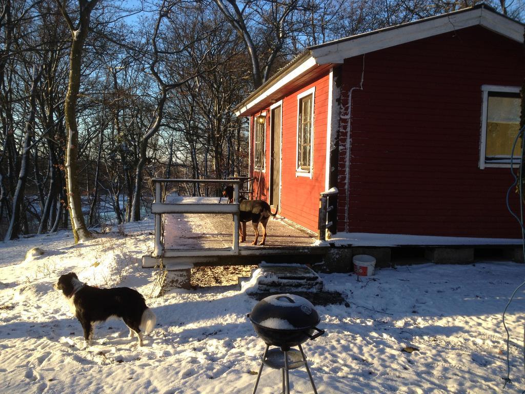 Farm Stay Happy Dogs Ranch Veberöd 外观 照片