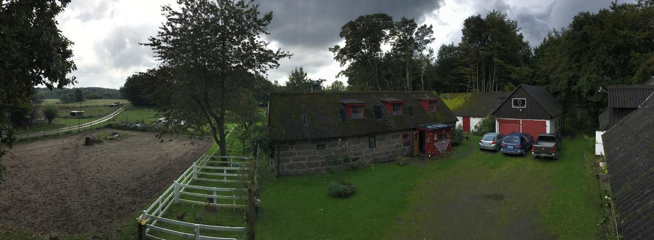 Farm Stay Happy Dogs Ranch Veberöd 外观 照片