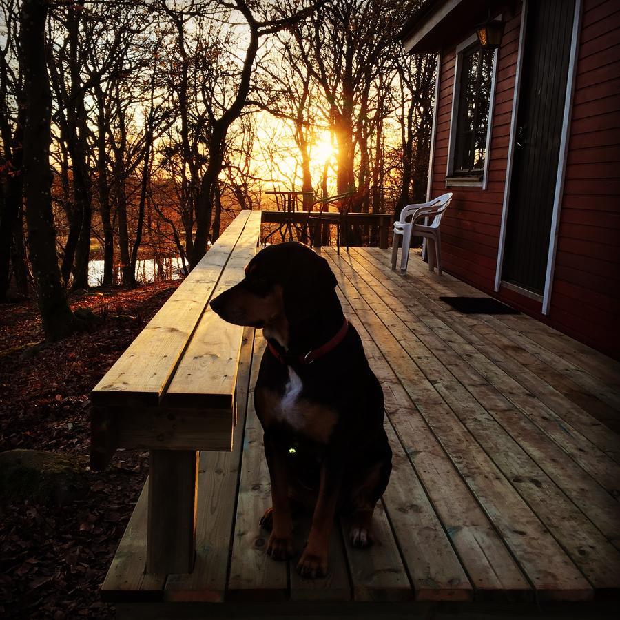 Farm Stay Happy Dogs Ranch Veberöd 外观 照片
